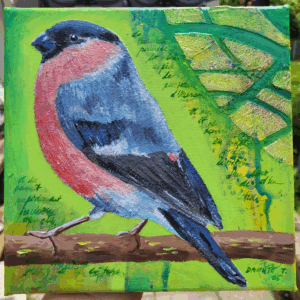 Bullfinch – Mini Acrylic Painting