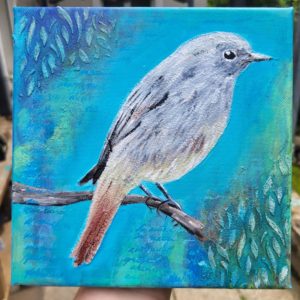 Black Redstart - Mini Acrylic Painting